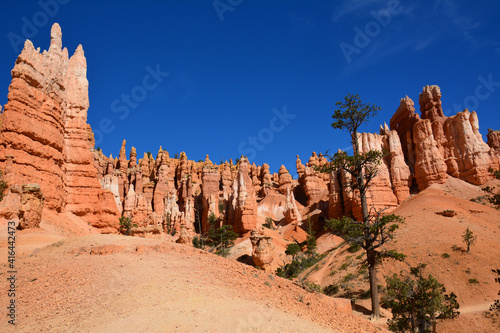 incredible view over the colorful, eroded hoodoos of bryce canyon national park in utah, form the queen's garden trail