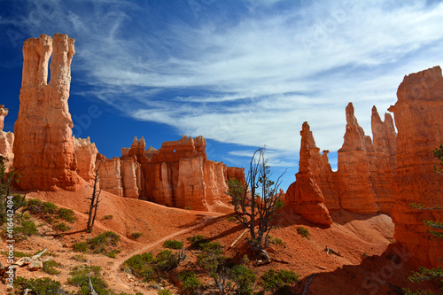 incredible view over the colorful, eroded hoodoos of bryce canyon national park in utah, form the queen's garden trail