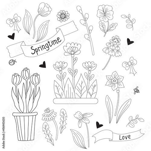 Spring time. Set of spring flowers - chamomile, daffodil, tulip, dandelion, violet and pussy willow and flowerpot. Vector. line, outline. decorative plants for print, design, decoration and postcards