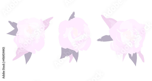 Fototapeta Naklejka Na Ścianę i Meble -  Delicate pink roses. Vector illustration.