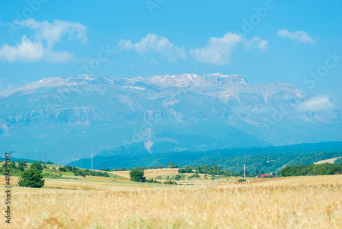 Yellow flower meadow with snow covered mountains beautiful lsndscape