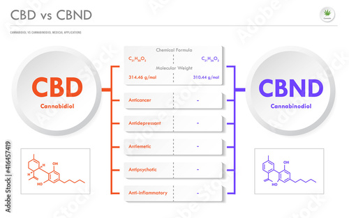 CBD vs CBND, Cannabidiol vs Cannabinodiol horizontal business infographic illustration about cannabis as herbal alternative medicine and chemical therapy, healthcare and medical vector.