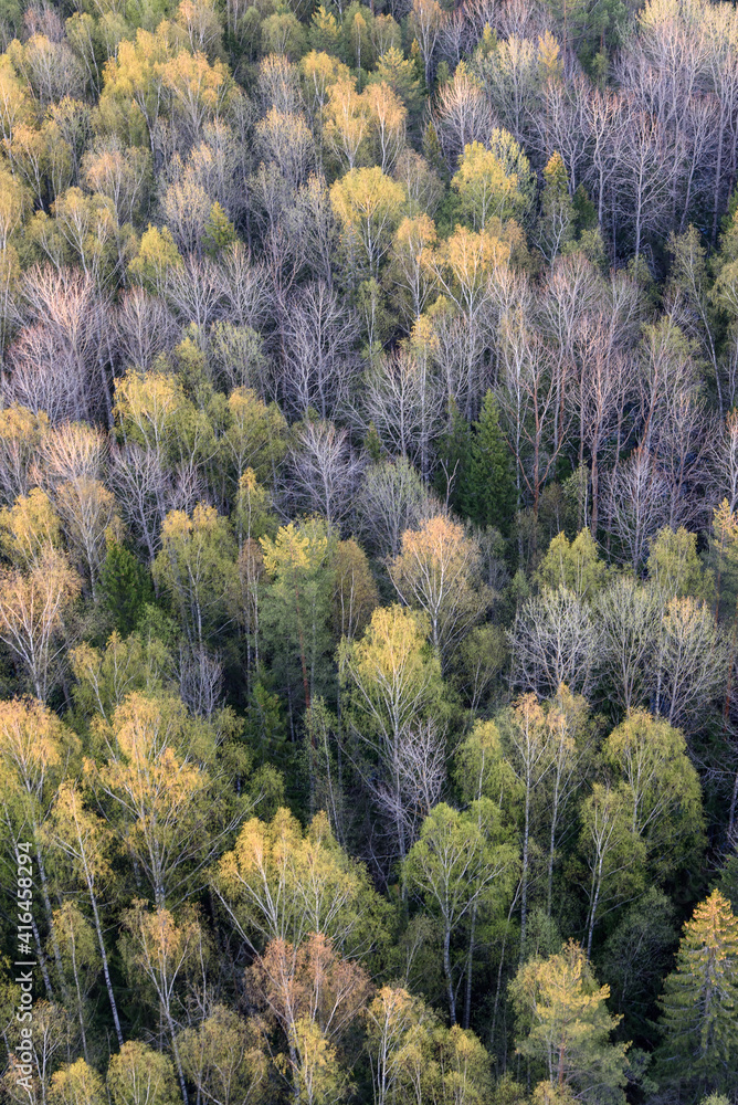 autumn in the forest autumn in the forest
