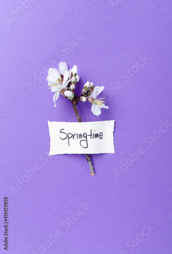 Springtime letters with blooming flower of plum on color paper.