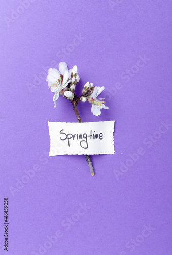 Springtime letters  with blooming flower of plum on color paper.