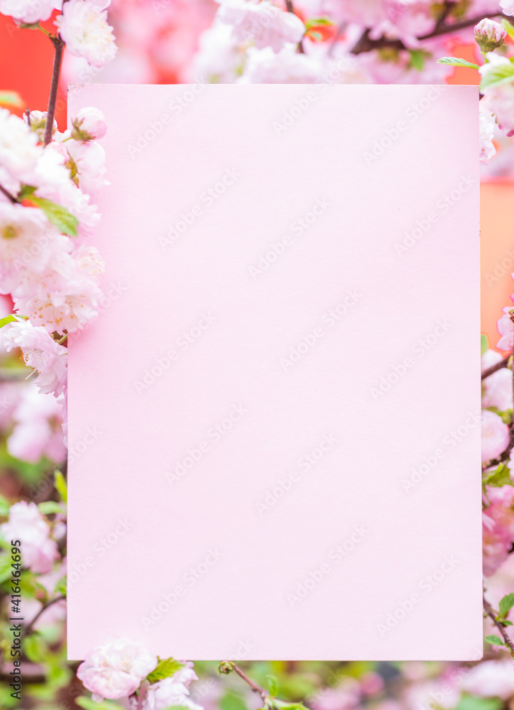 Paper blank between flowering almond branches in blossom. Pink flowers as a frame.