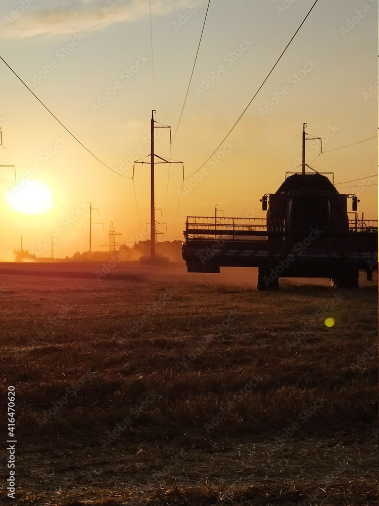 Fototapeta premium harvesting