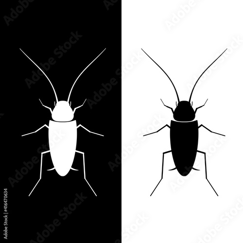 a cockroach in shadow with a black or white background
