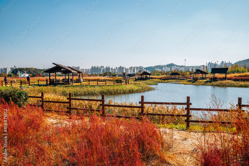 Autumn of Gaetgol Eco Park in Siheung, Korea Autumn of Gaetgol Eco Park in Siheung, Korea
