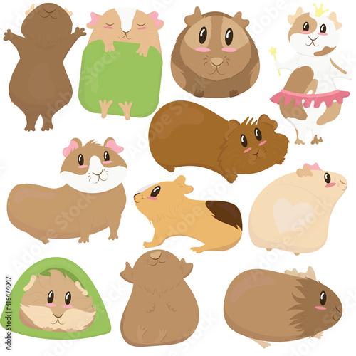 big set, cute funny guinea pigs of different colors stand, lie, sleep, cute home rodent, vector illustration in flat style