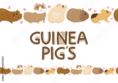 cute funny guinea pigs of different colors stand, cute home rodent, vector illustration, seamless horizontal border in flat style