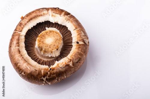 close up of mushroom on a white background