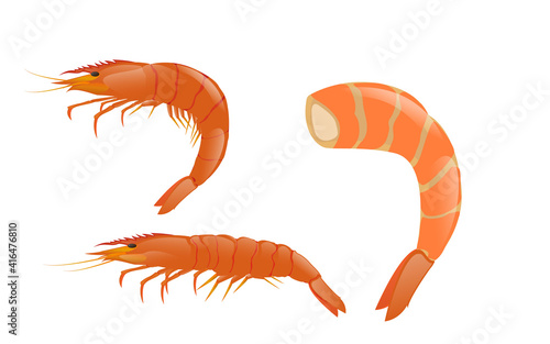 Close up cooked shrimp with skin on. Cooked shirmp on white background illustration.