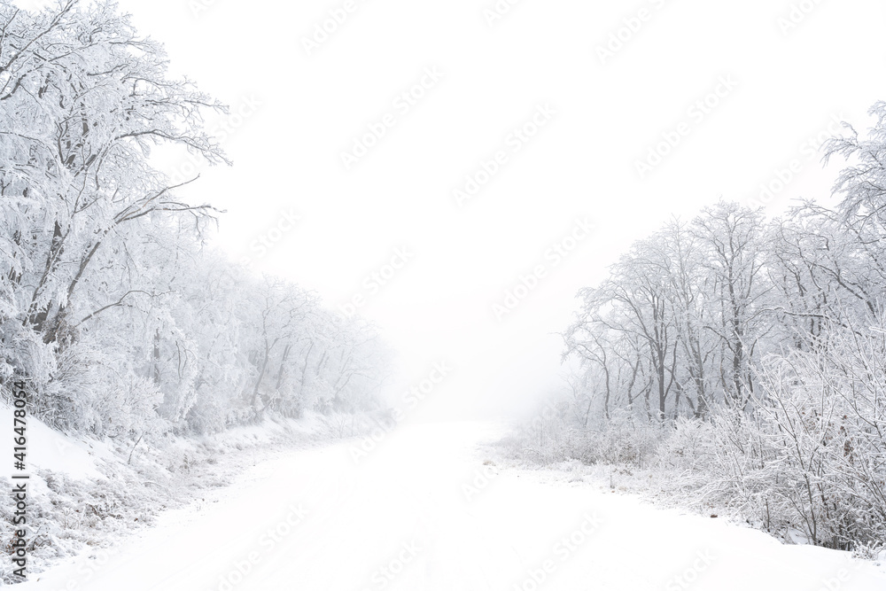Fototapeta premium Snowy road in winter forest