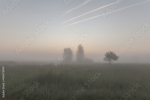 Sunrise on a meadow with fog
