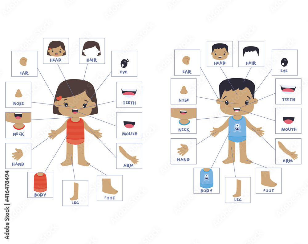 Hispanic Boy and Girl External Body Parts Anatomy Visual Scheme Flat ...