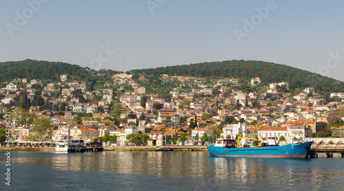 View of Heybeliada island from the sea with summer houses. the island is the second largest one of four islands named Princes  Islands in the Sea of Marmara  near Istanbul  Turkey