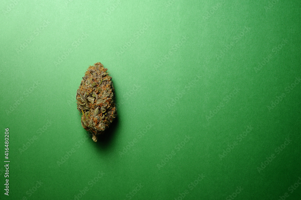 Naklejka premium Marijuana buds closeup. Medicinal cannabis on green background. Hemp recreation, medical usage, legalization.