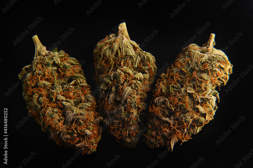 Marijuana buds closeup. Medicinal cannabis on black background. Hemp recreation, medical usage, legalization.