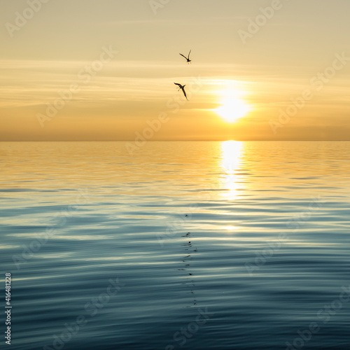 Seagull silhouette above the sea at colorful sunset. Idea of harmony and tranquility.