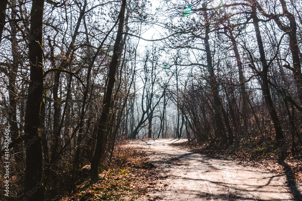 Fototapeta premium Sunny weather at Normafa over Budapest