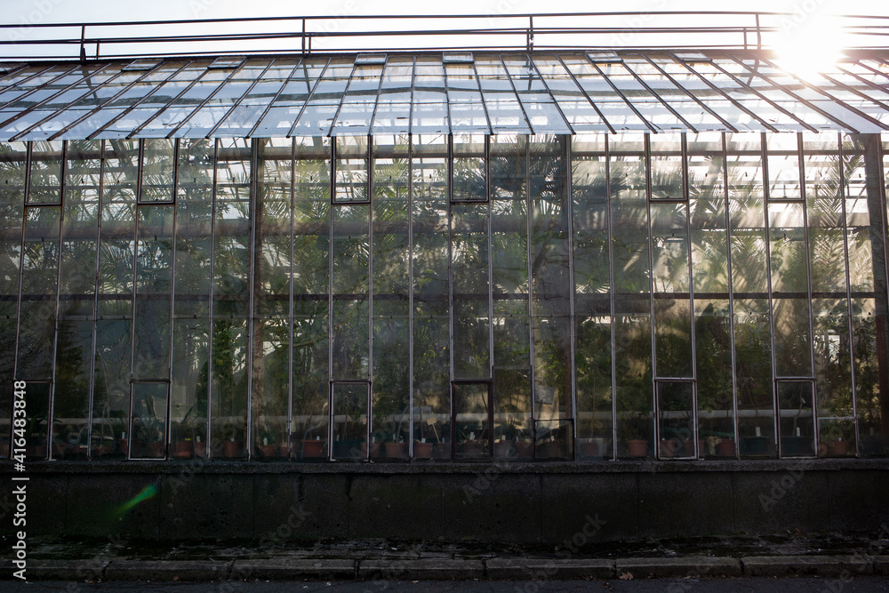greenhouse in a greenhouse
