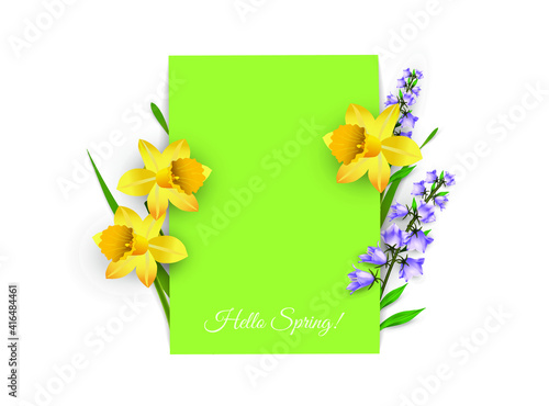 Fototapeta Naklejka Na Ścianę i Meble -  Spring flowers on white and green background with the text Hello Spring. Vector illustration for making design, cards, website, labels, banners, more. 