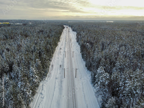 Railway tracks in the winter forest