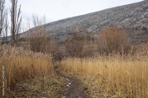 Wallpaper Mural wheat field in the wind Torontodigital.ca