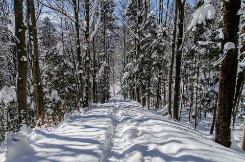 Fototapeta Naklejka Na Ścianę i Meble -  zima w Bieszczadach 