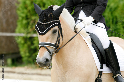 Unknown contestant rides at dressage horse event in riding ground