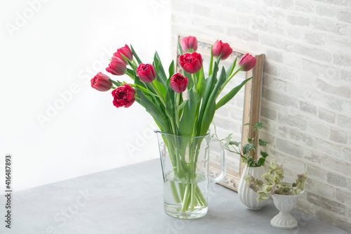 赤いチューリップ