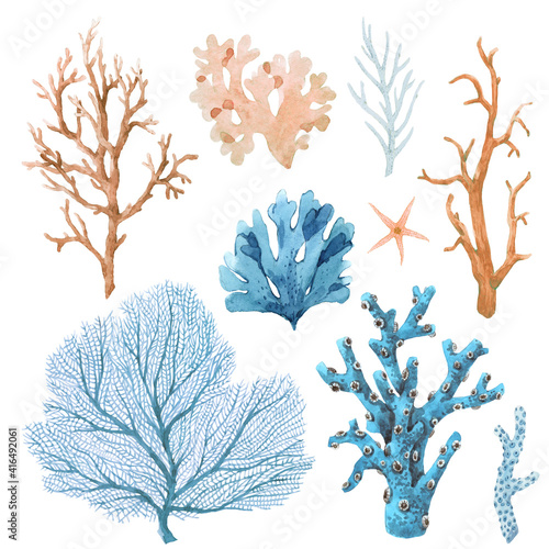 Obraz na plátně Beautiful set with watercolor hand drawn coral illustrations