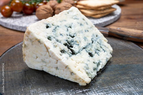 Cheese collection, French blue cheese roquefort from grotten of Roquefort-sur-Soulzon, France