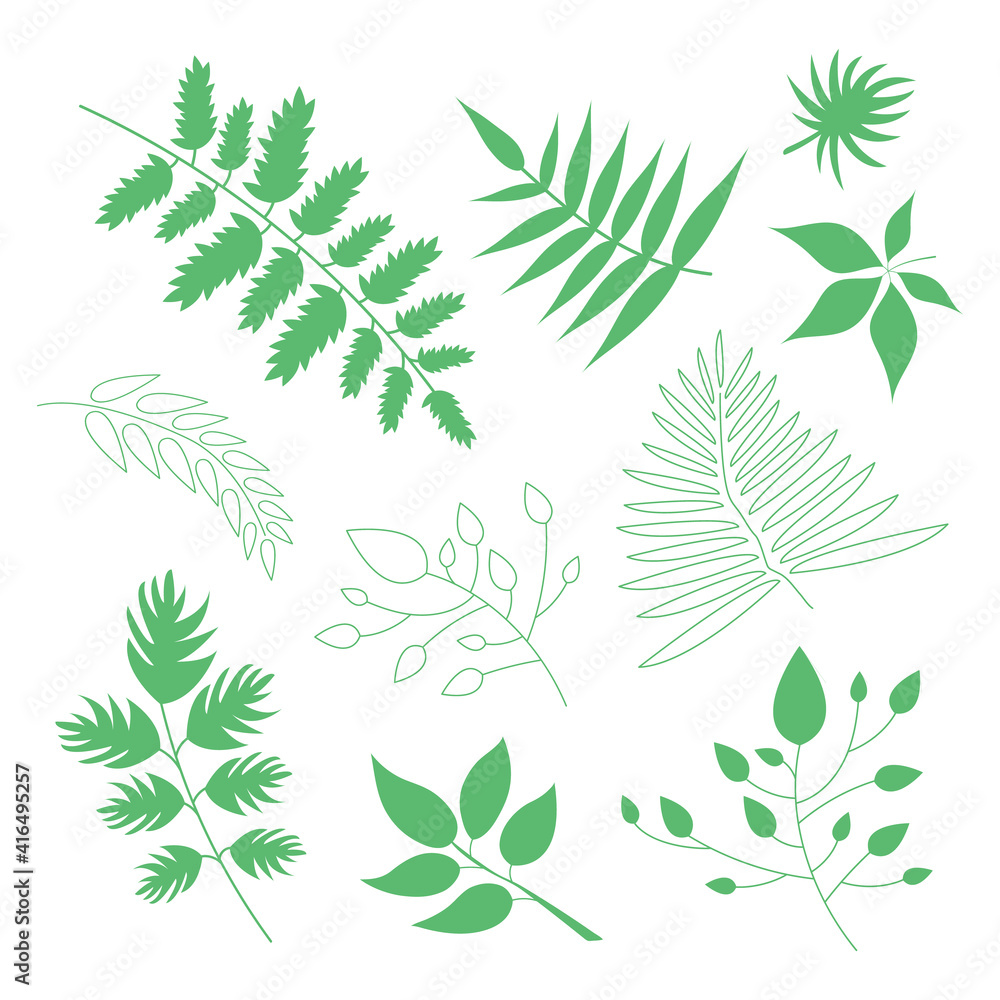 Set of vector green leaves, herbal element. Can be used as isolated sign, symbol, icon, for organic products. Collection of spring botanical vector flat plant illustration. Fill and stroke leaves.