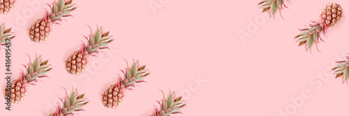 Header with trendy repetitive pattern made of pink pineapples. Summertime concept with copy space.
