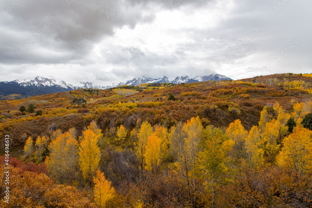 High angle view of yellow aspens and other trees seen in the fall near Aspen, Colorado, with high mountains and cloudy sky in the background 