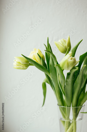 white tulip bouquet on white background. spring flowers