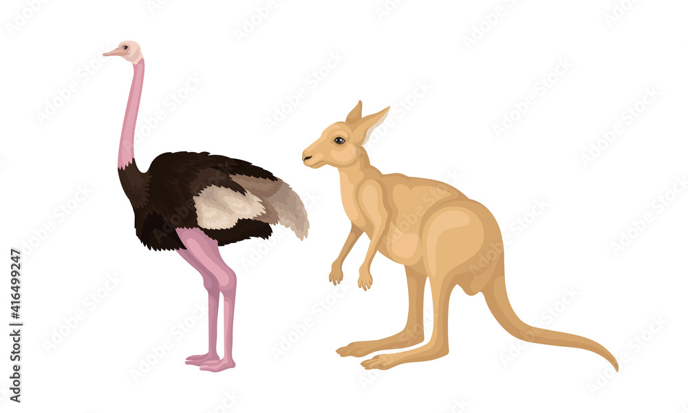 Emu Bird with Long Neck and Kangaroo as Australian Animals Vector Set