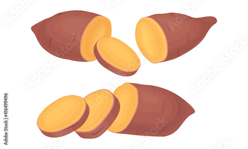 Chopped Sweet Potato or Batata as Large Starchy, Sweet-tasting Root Vegetable Vector Set