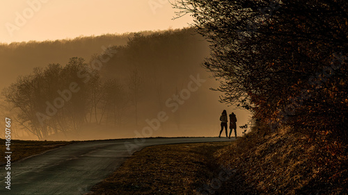 Fototapeta Naklejka Na Ścianę i Meble -  sunset and mystical fog