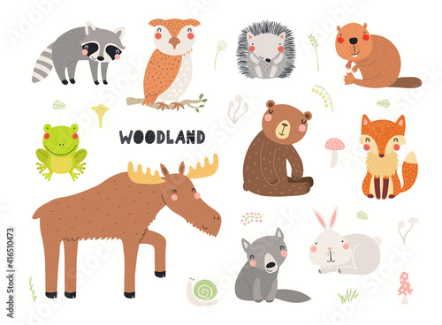 Fototapeta Naklejka Na Ścianę i Meble -  Cute wild animals clipart collection, isolated on white. Hand drawn vector illustration. Woodland elements set. Scandinavian style flat design. Concept for kids fashion, textile print, poster, card