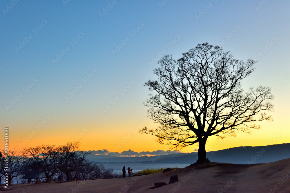 夕焼けの吾妻山公園頂上の大木と人のシルエット