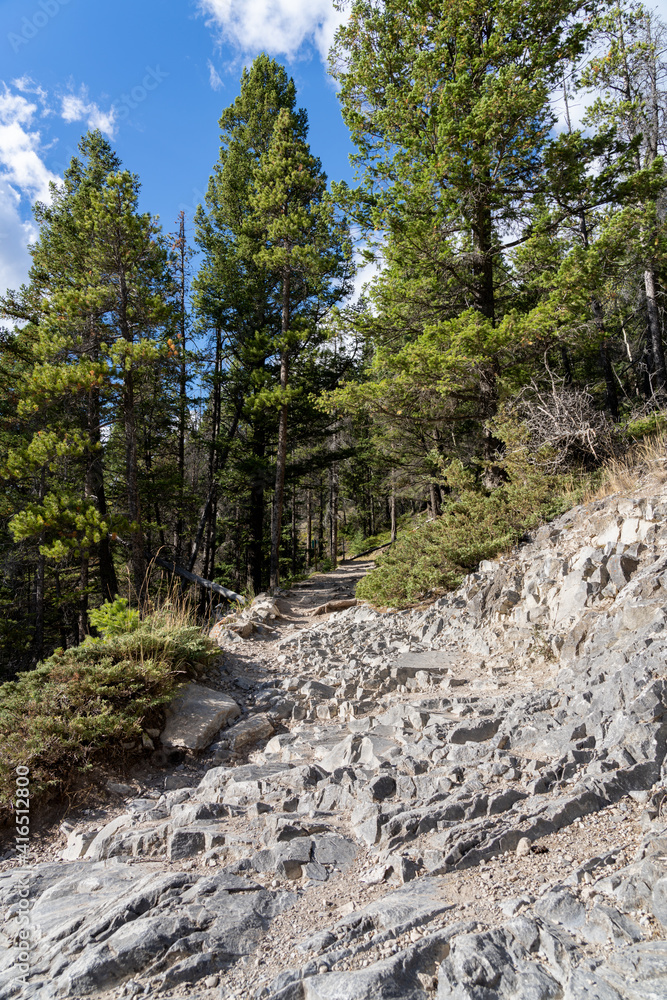 Mountain forest scenery in summer sunny day. Tunnel Mountain Trail Route. Banff National Park, Canadian Rockies, Alberta, Canada. Mountain forest scenery in summer sunny day. Tunnel Mountain Trail Route. Banff National Park, Canadian Rockies, Alberta, Canada.