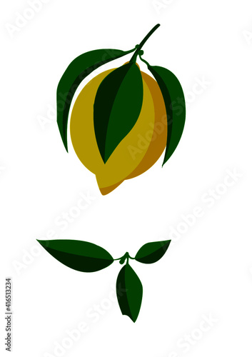 orange fruit with leaves