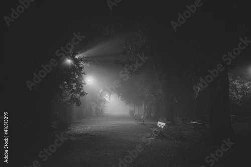 Park in the fog