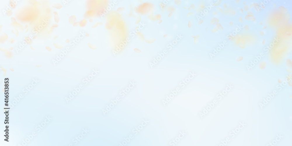 Yellow orange flower petals falling down. Positive Yellow orange flower petals falling down. Positive
