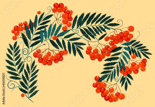Tableau sur toile Drawn rowan branch. Art ornament isolated on a yellow background