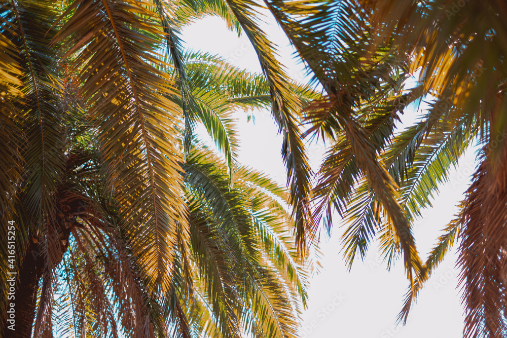 Fototapeta premium Weekend in spain