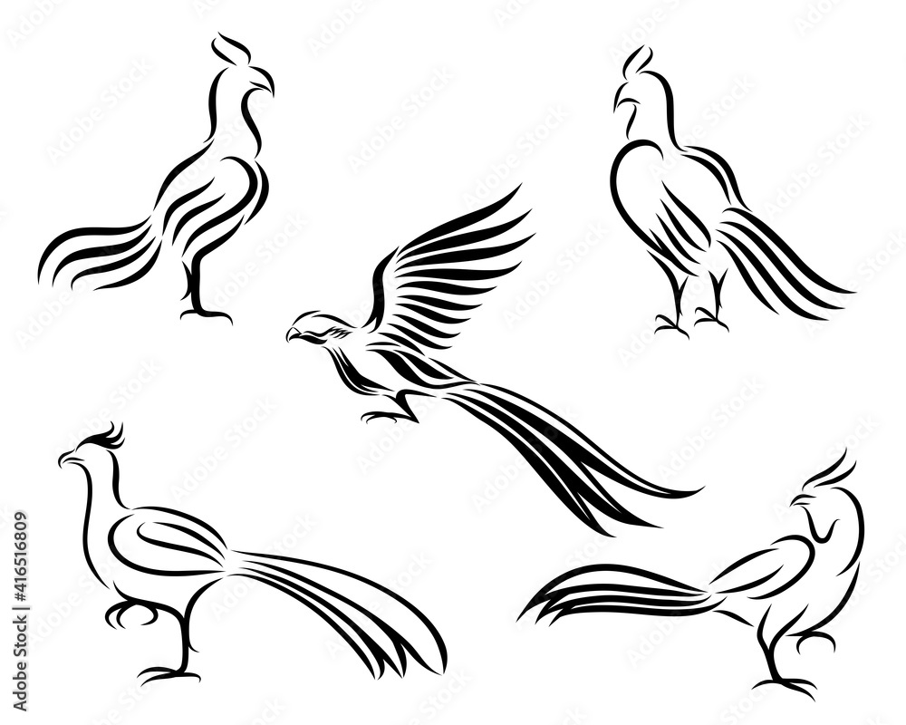 Obraz premium Chicken and pheasant line art vector picture It's a set of five pictures.